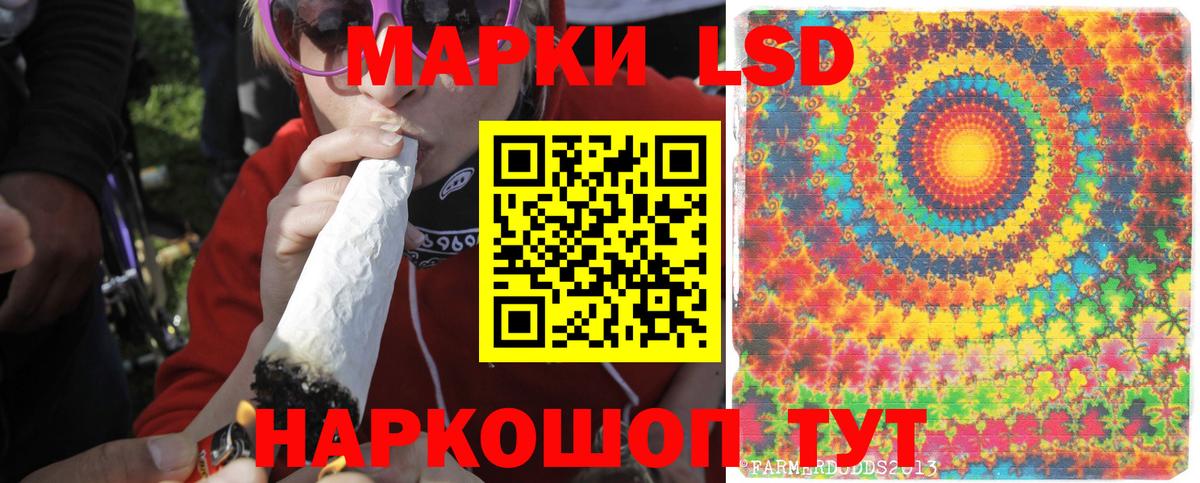 Борзя  Лсд 25 экстази кислота  Вход с VPN  Лсд 25 экстази кислота 