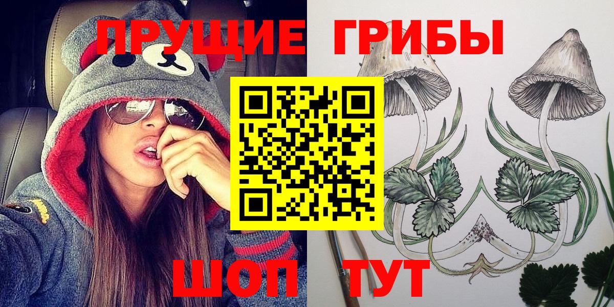 Галлюциногенные грибы Psilocybe  Вход с VPN  Борзя 